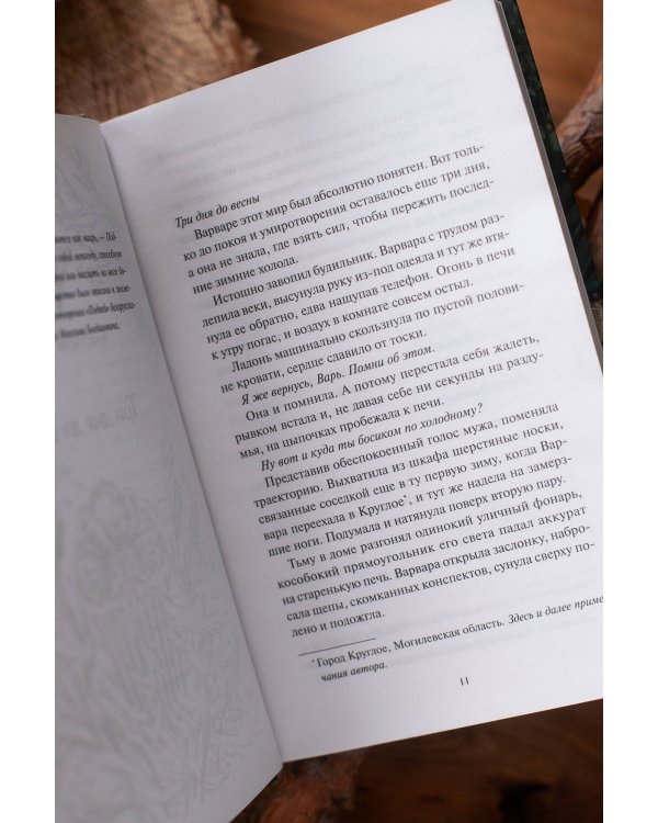 Дополнительное изображение книги «Хтонь за околицей»