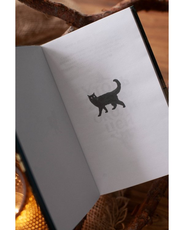 Дополнительное изображение книги «Хтонь за околицей»