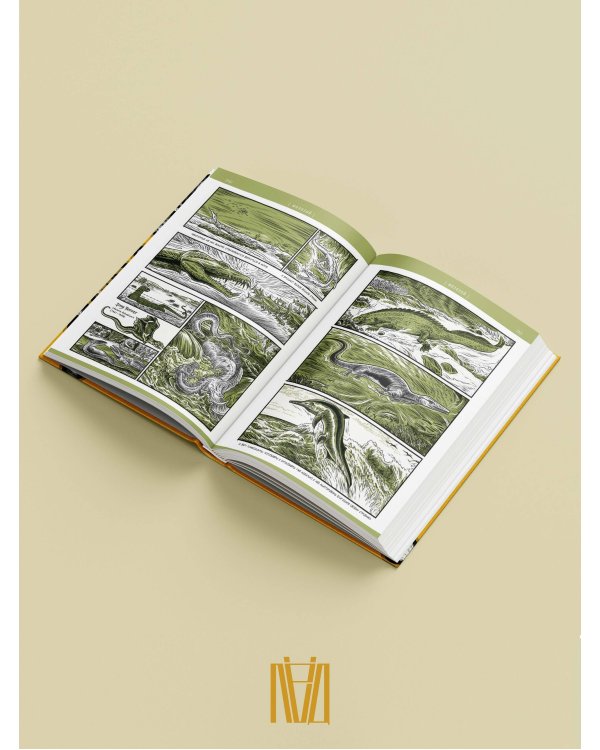 Альфа... направления