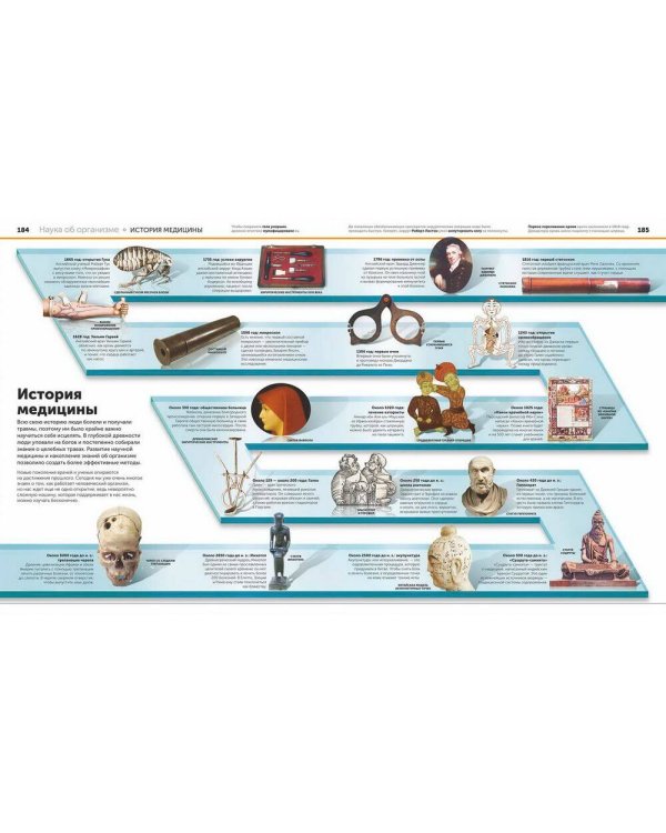 Анатомия человека. Самая полная современная энциклопедия