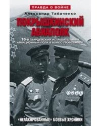 Покрышкинский авиаполк(серый). 16-й гвардейский истребительский авиационный полк в боях с Люфтваффе.