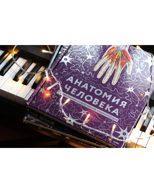 Анатомия человека. Самая полная современная энциклопедия