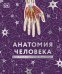 Анатомия человека. Самая полная современная энциклопедия