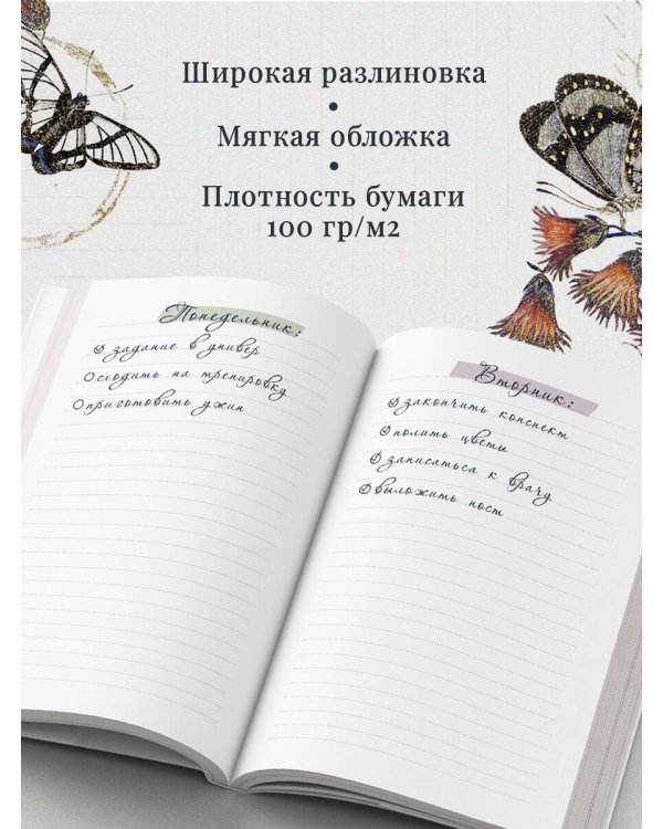 Записки из леса. Пространство для мыслей, идей и важных мелочей. Блокнот (64 л.)
