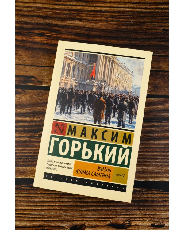 Жизнь Клима Самгина. В 2 кн. Книга 2
