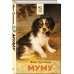 Муму