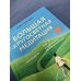 Большая кругосветная медитация. Шаг за шагом: 7 лет, 6 континентов, 45 000 километров
