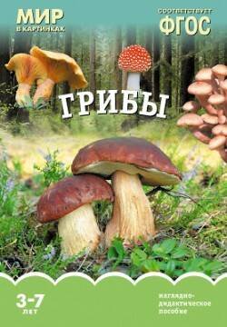 Обложка книги «ФГОС Мир в картинках. Грибы», ISBN 9785431509193