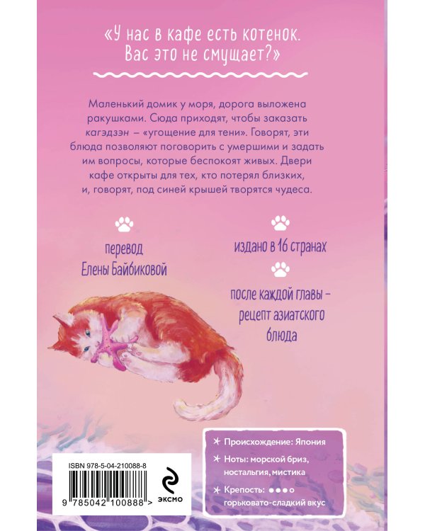 Котенок и кафе на краю океана