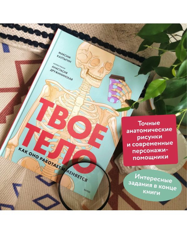 Твое тело. Как оно работает и меняется