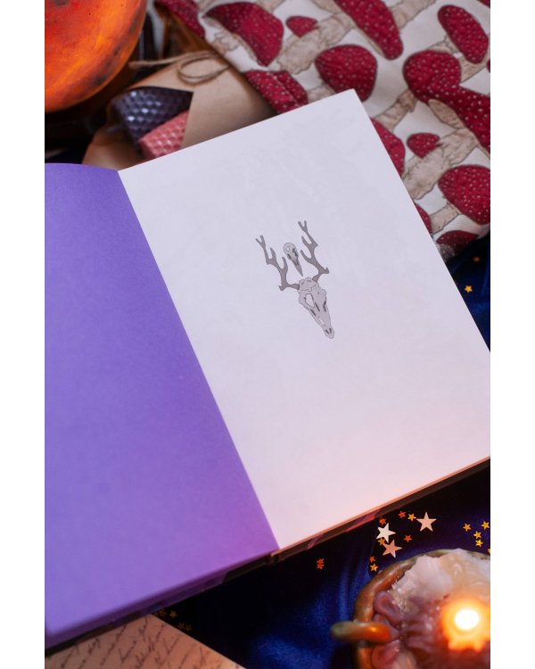 От Руси до России