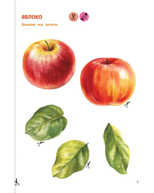Вырезай и клей. Овощи и фрукты