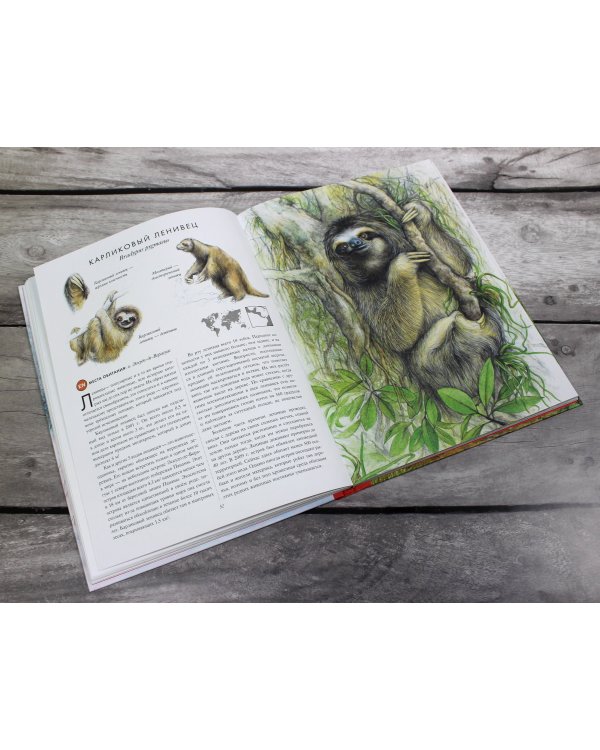 КРАСНАЯ КНИГА. Животные на грани вымирания
