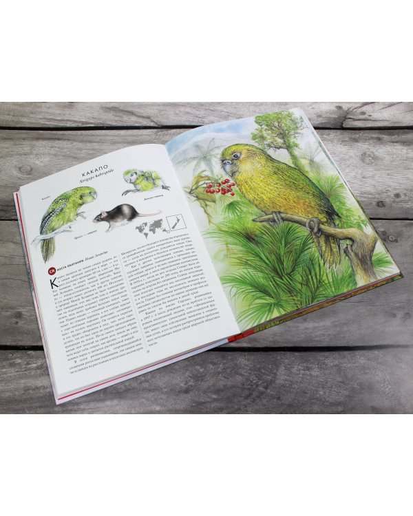 КРАСНАЯ КНИГА. Животные на грани вымирания