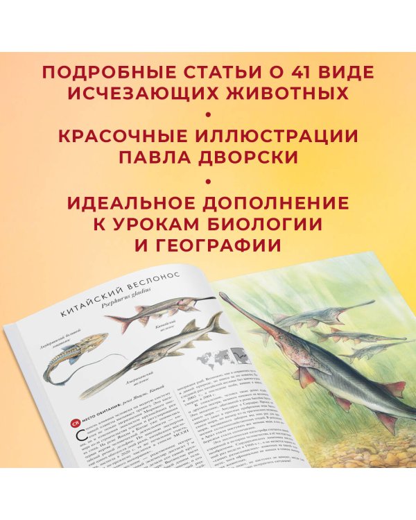 КРАСНАЯ КНИГА. Животные на грани вымирания