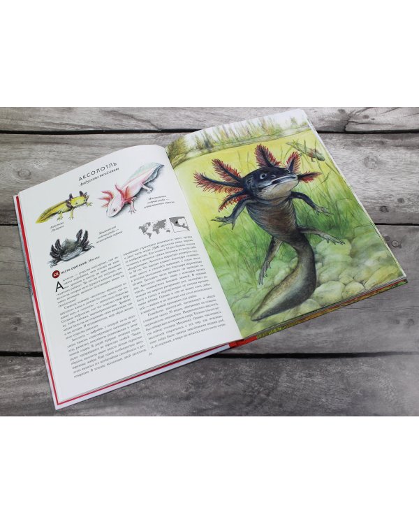КРАСНАЯ КНИГА. Животные на грани вымирания