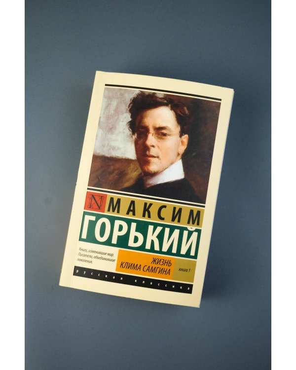 Жизнь Клима Самгина. В 2 кн. Книга 1