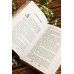 Дополнительное изображение книги «Знахарка»
