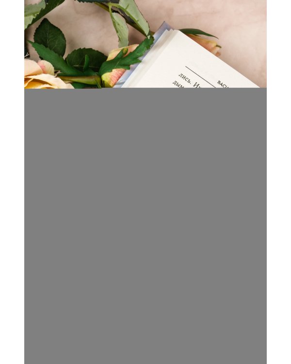 Я осталась злодейкой в романе, и уже не важно в каком