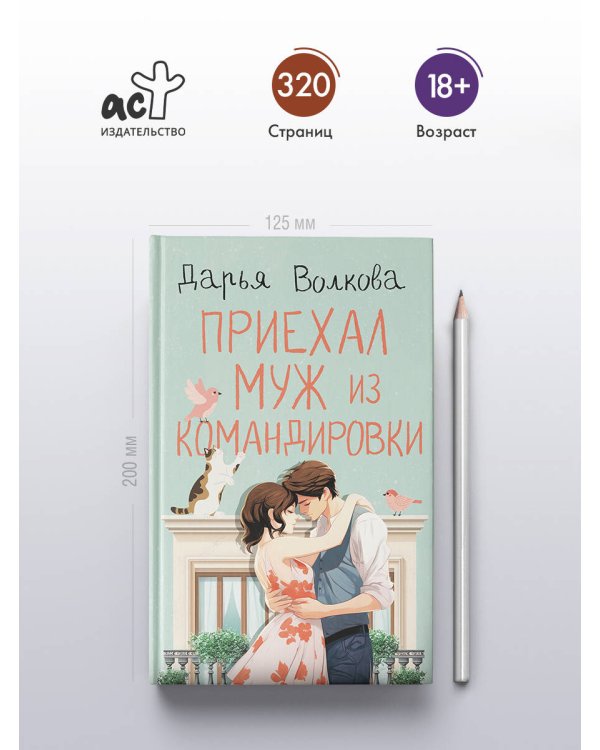 Приехал муж из командировки