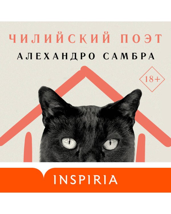 Чилийский поэт