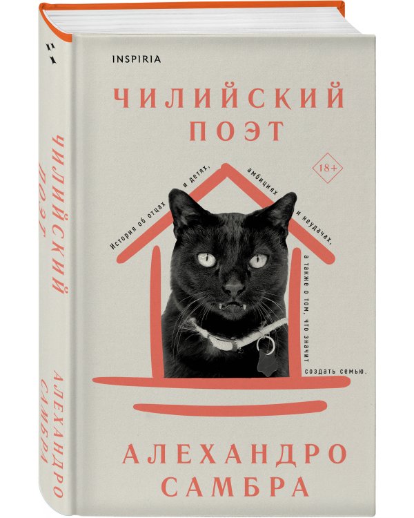 Чилийский поэт