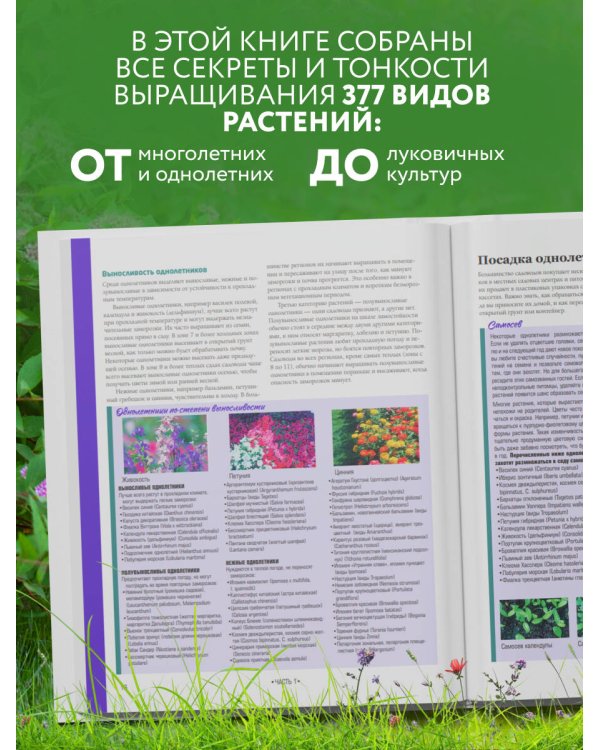 Библия садовых цветов. Однолетники, многолетники и луковичные. Советы по посадке, выращиванию и уходу
