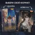 Young Adult. Корейские дорамы. Младший сын семьи чеболя Младший сын семьи чеболя. Манхва. Том 1