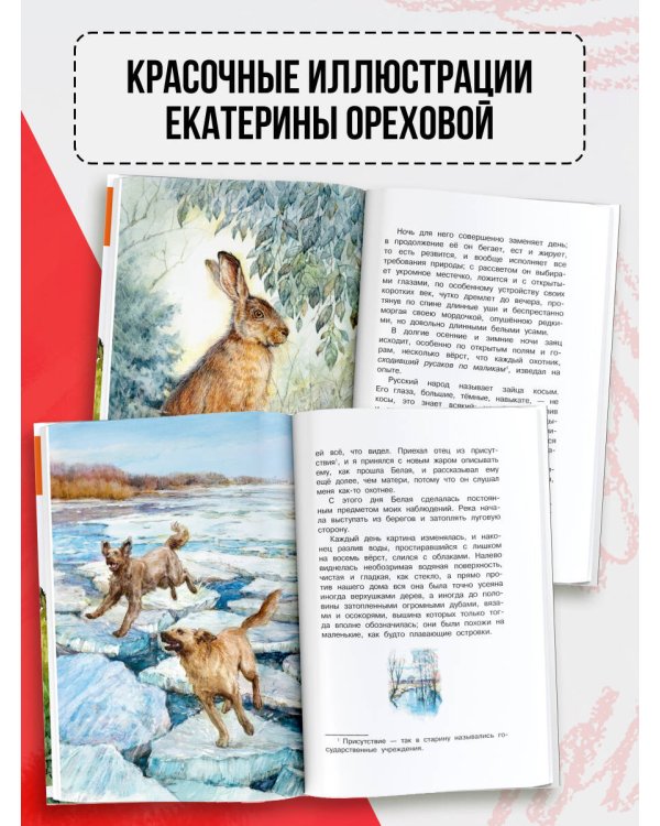 Рассказы о природе