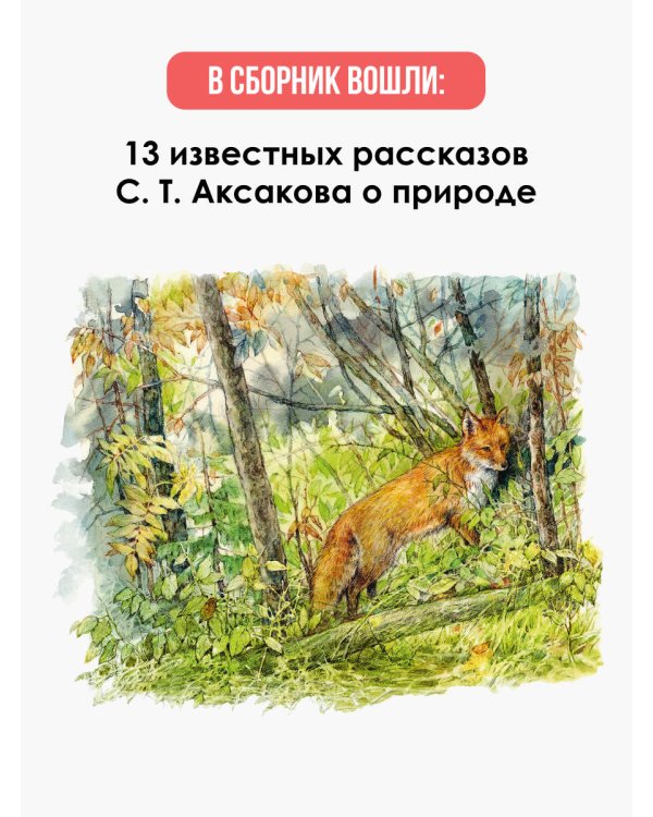 Рассказы о природе