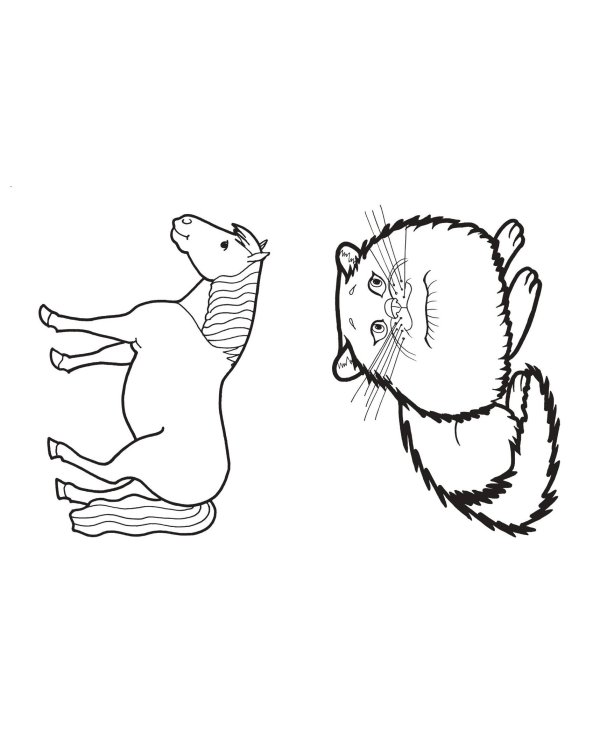 Дополнительное изображение книги «Животные. Большая раскраска»