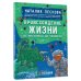 Большая наука детям Происхождение жизни. От метеорита до человека