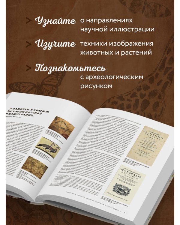 Профессия — Научный иллюстратор. Руководство по иллюстрации в биологии, археологии и палеоарте