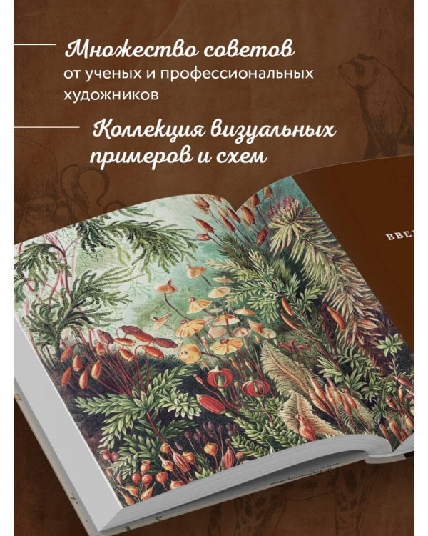 Профессия — Научный иллюстратор. Руководство по иллюстрации в биологии, археологии и палеоарте