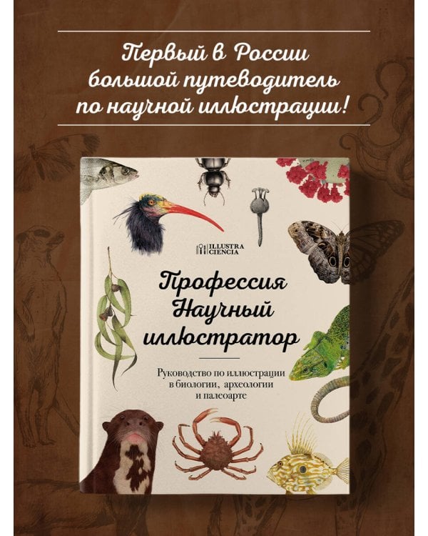 Профессия — Научный иллюстратор. Руководство по иллюстрации в биологии, археологии и палеоарте