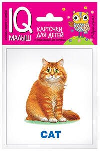 Умный малыш. ENGLISH. Домашние питомцы. Набор карточек для детей.