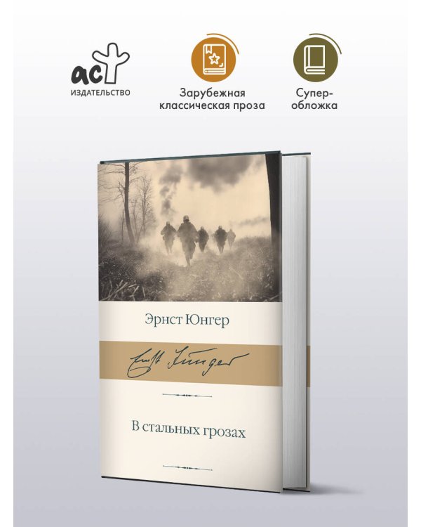 В стальных грозах