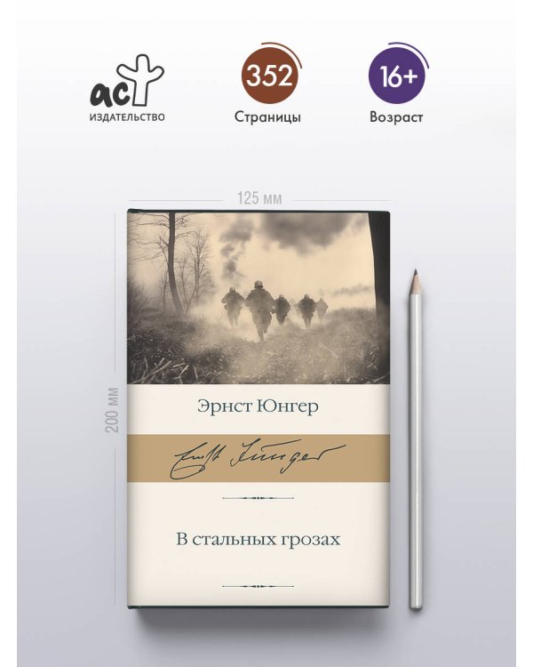 В стальных грозах