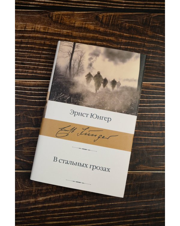 В стальных грозах