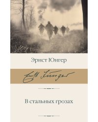 В стальных грозах