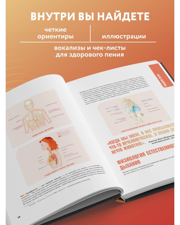 Анатомия пения: основы вокальной техники