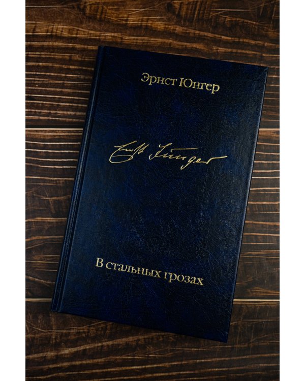 В стальных грозах