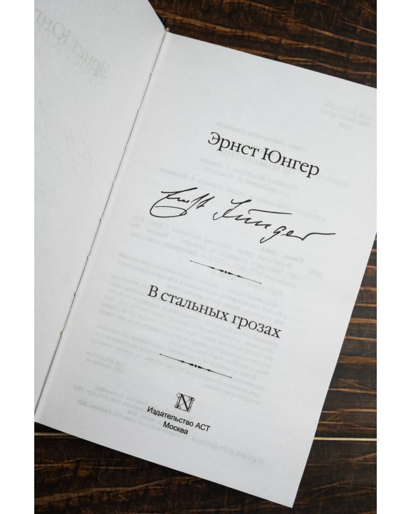 В стальных грозах