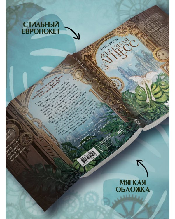 Дополнительное изображение книги «Железная Агнесс»