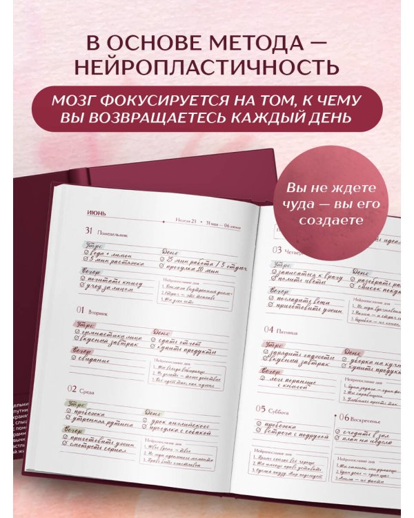 Дополнительное изображение книги «Создай свой лучший год. Еженедельник на 2027 год и дневник нейропрограммирования»