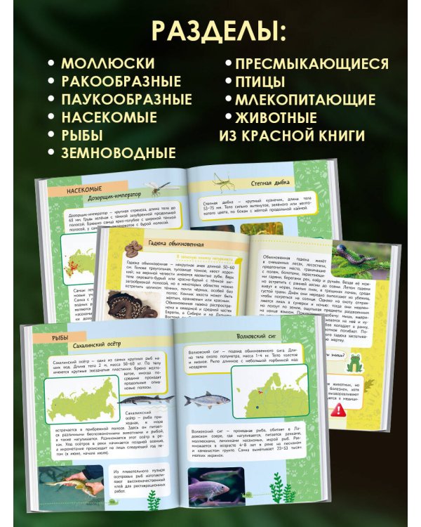 Окружающий мир. Животные