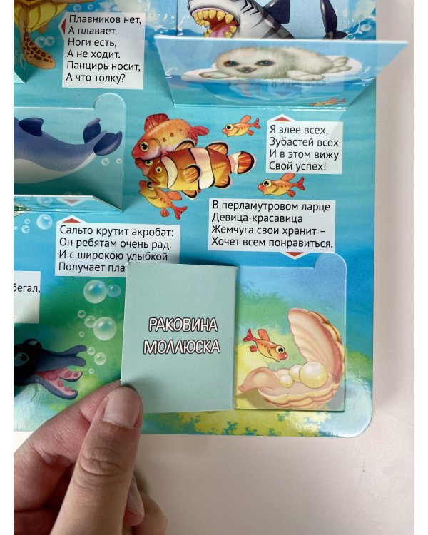 Большая книга загадок с окошками