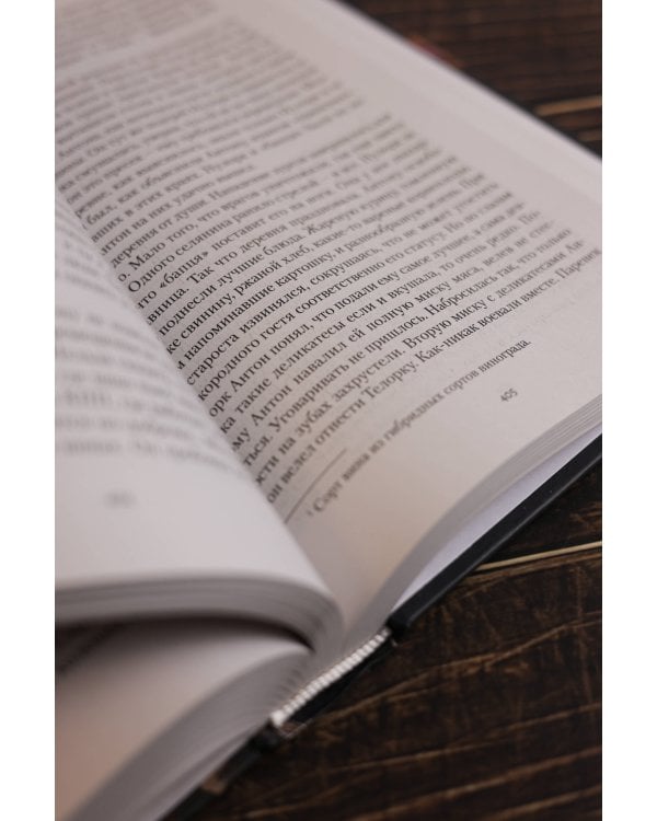 Мир за проходной