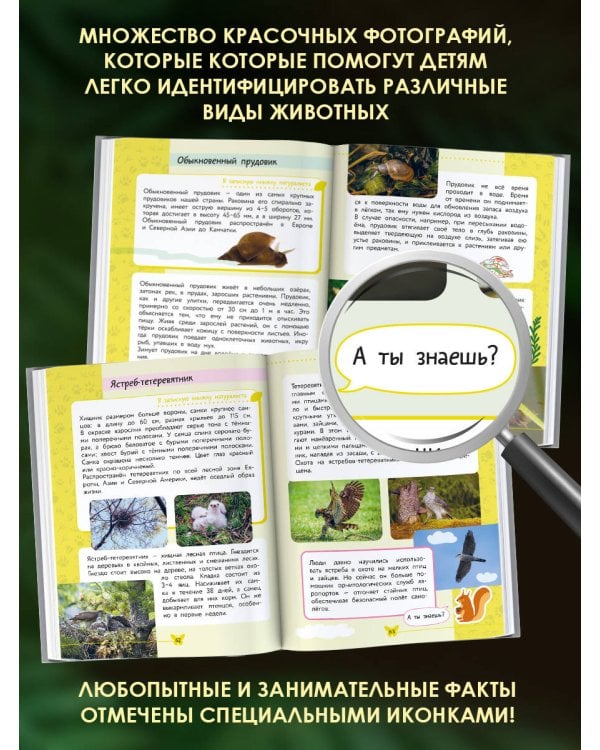 Окружающий мир. Животные