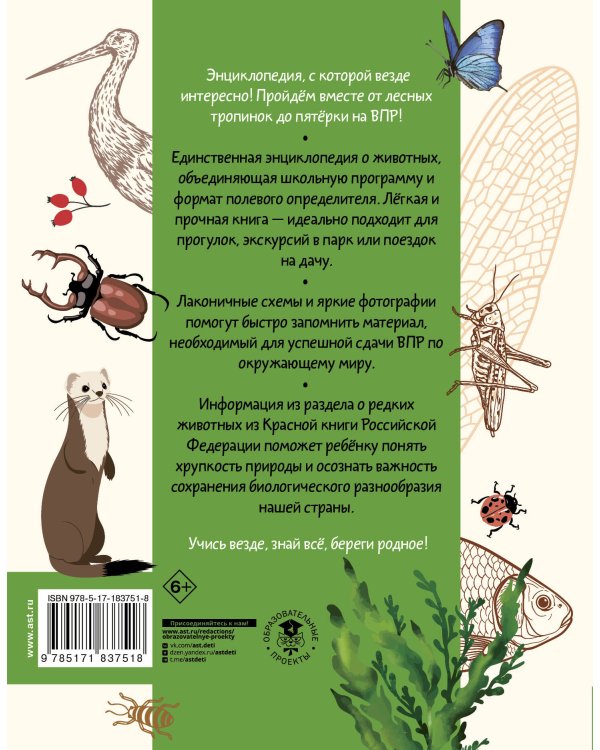 Окружающий мир. Животные